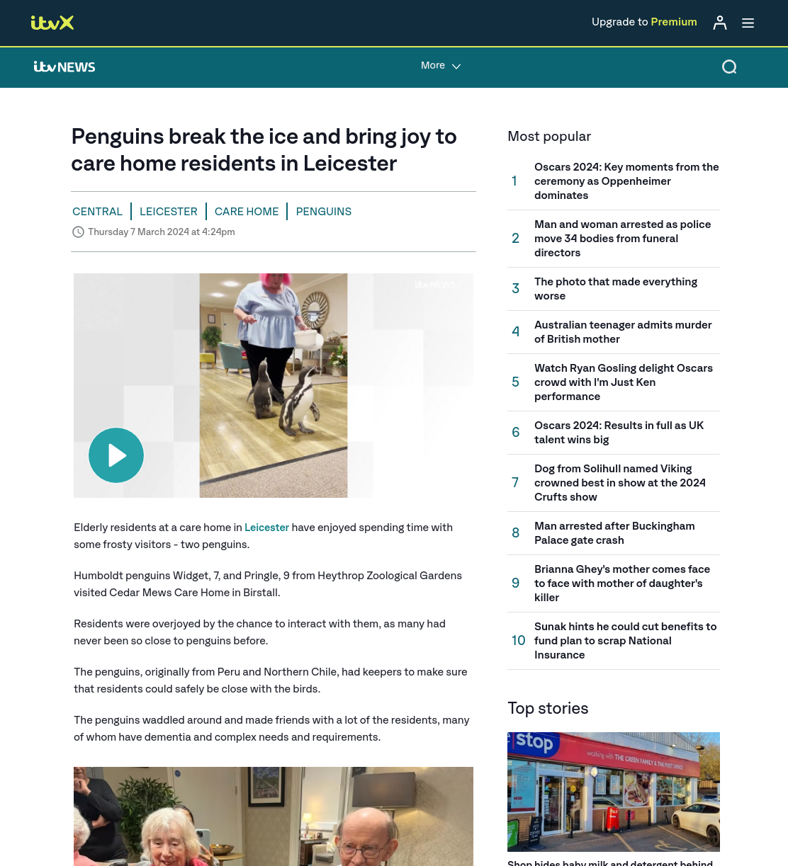 Penguins break the ice and bring joy to care home residents | ITV News