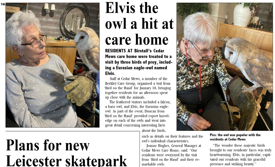 Elvis the owl