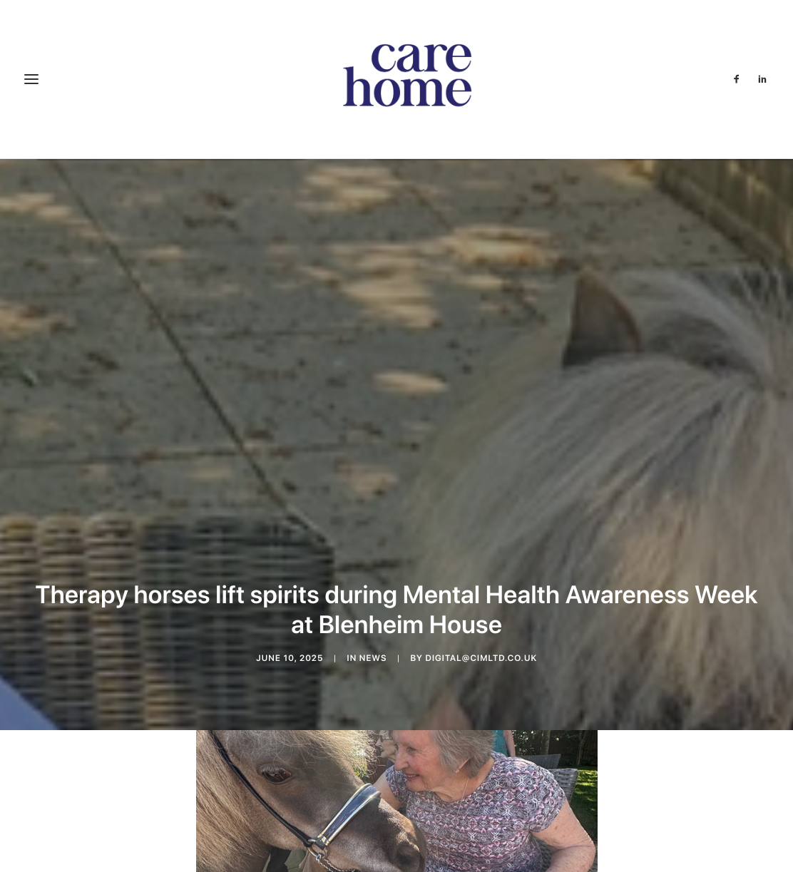 Therapy horses lift spirits during Mental Health Awareness Week at Blenheim House » Care Home Magazine